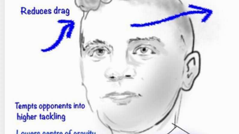 The Science Of Ian Madigan's Hair