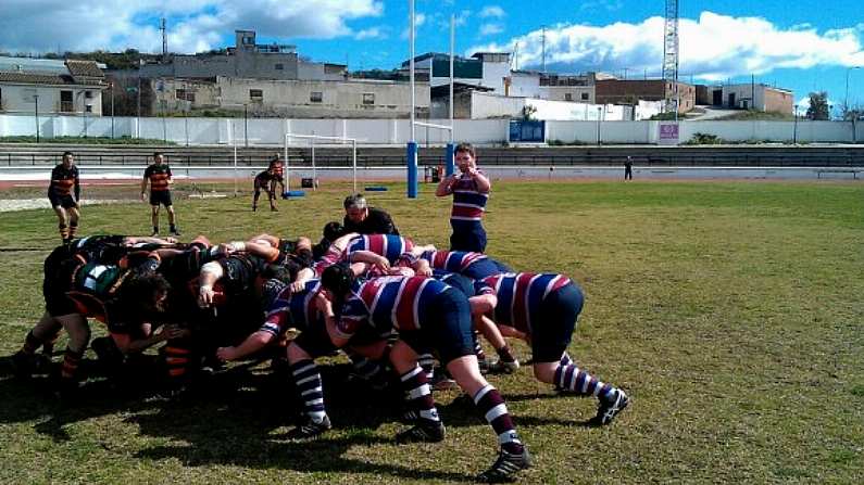 Another Excellent Rugby Photobomb