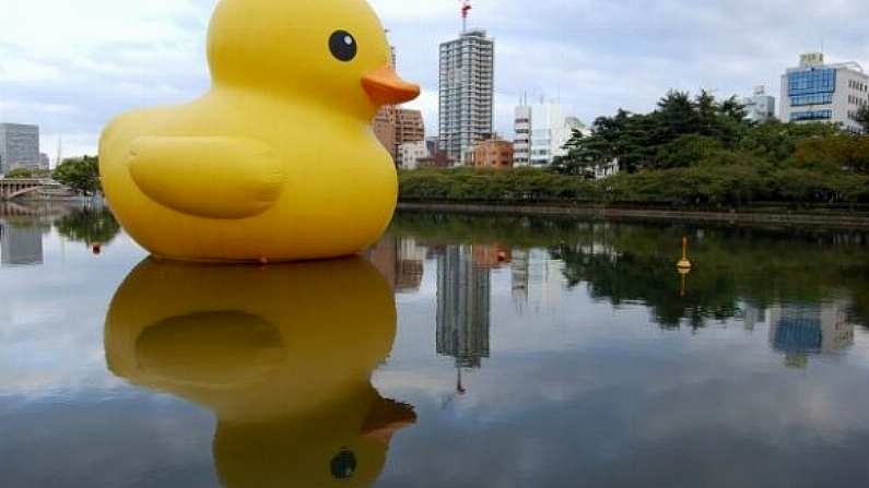 Jamie Heaslip Would Rather Fight 100 Duck Sized Horses Than One Horse Sized Duck