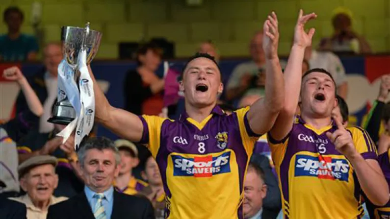 11 Of The Best Images From The Wexford U21s Leinster Hurling Final Victory