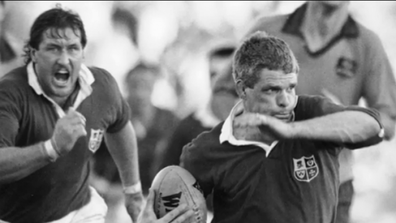 This Video Of Lions Past And Present Will Get You In The Mood