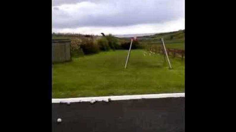 Someone Has Made A Hurling Video In Their Backyard And It's Brilliant.