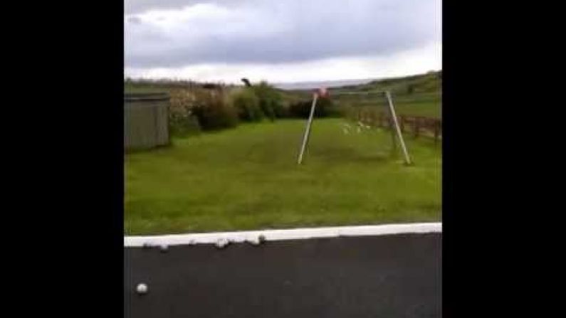 Someone Has Made A Hurling Video In Their Backyard And It's Brilliant.