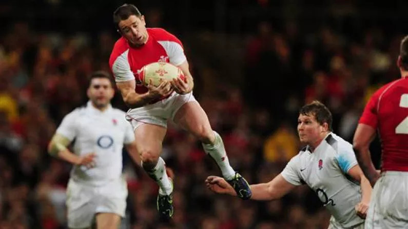 4 Alternatives To Shane Williams In The Lions Squad