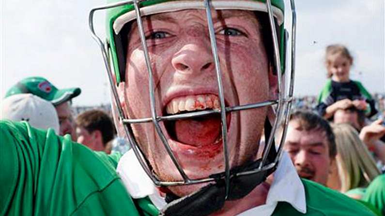 Gallery: 12 Epic Pictures From Limerick's Win Over Tipperary.