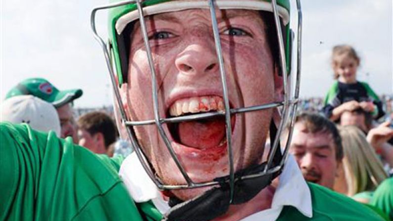 Gallery: 12 Epic Pictures From Limerick's Win Over Tipperary.
