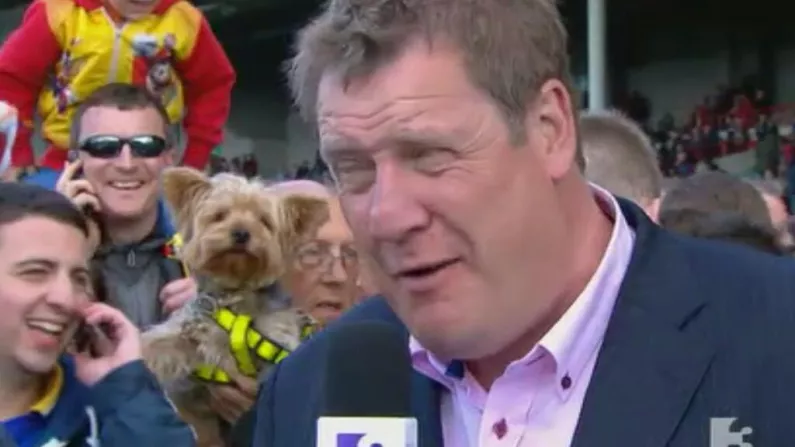 The Real Star Of TV3's Hurling Coverage Was A Cute Canine