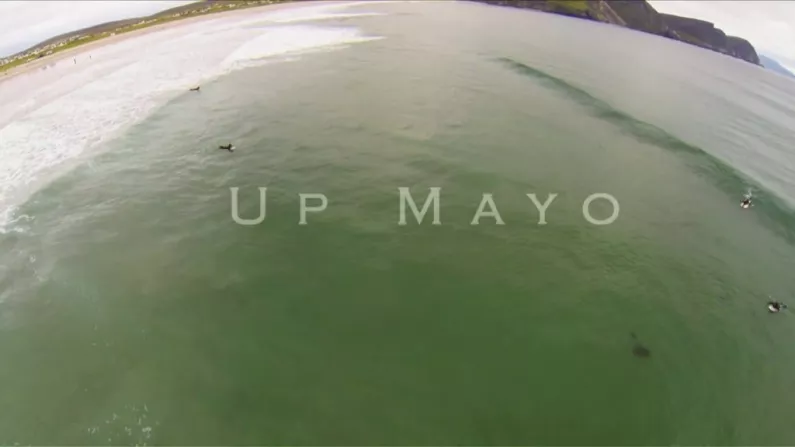 Is This The First Mayo For Sam Surfing Video?