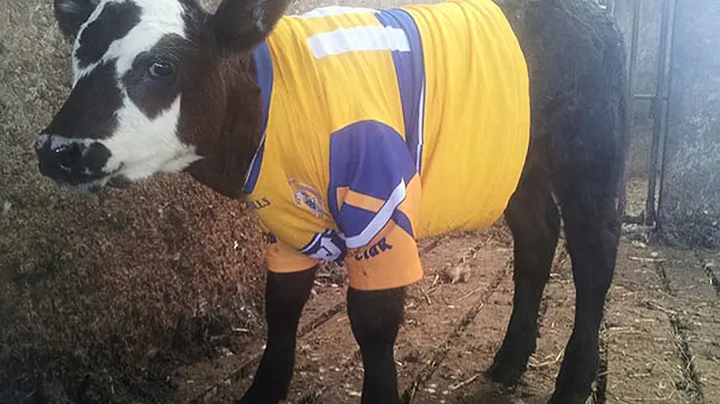8 Ways You Know It's Crunch Time In The GAA Championships