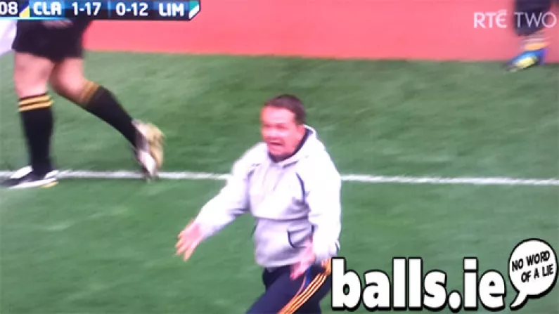 GIF: Davy Fitz Goes Nuts On The Sideline.