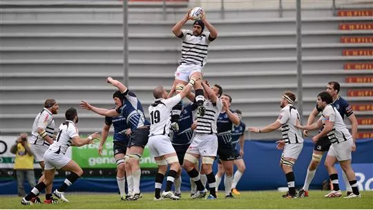 Marco Bortolami is the heartbeat of Zebre. Picture credit: Ray McManus / SPORTSFILE