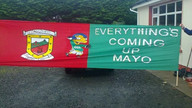 The Best Simpsons Related GAA Flag Of All Time