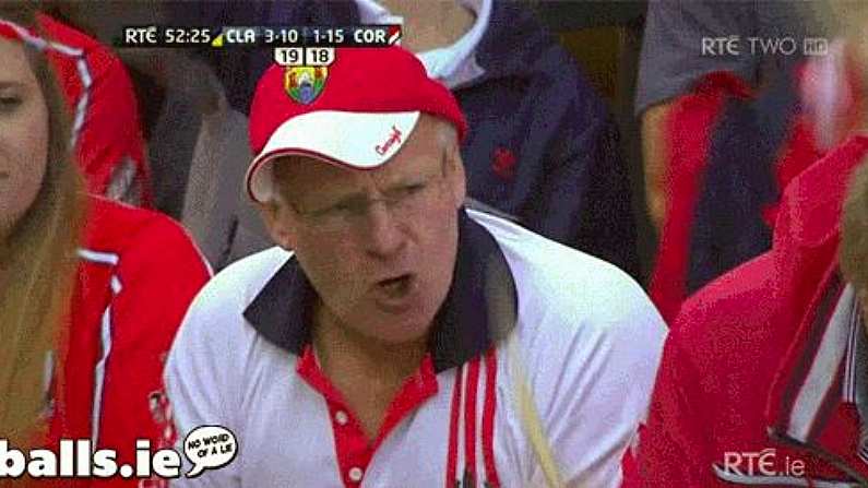 GIF: This Fan Was Loving Cork's Equalising Point