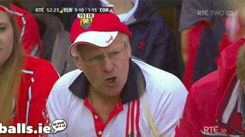 GIF: This Fan Was Loving Cork's Equalising Point