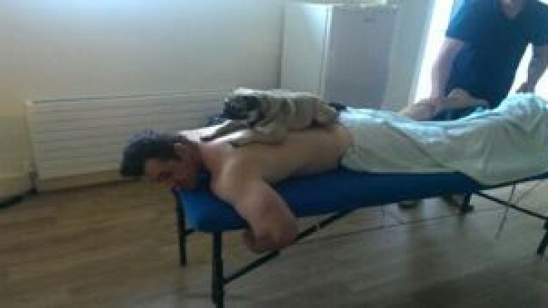 Leinster Have A New Masseuse This Season