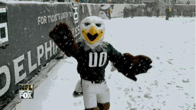 NFL Snow Day Photos