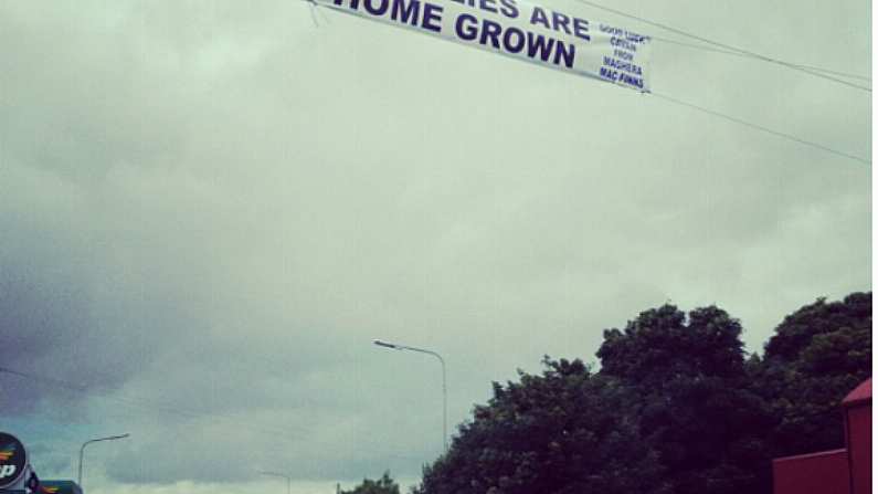 Incredible Sign In Cavan: 'Our Lilies Are Home Grown'