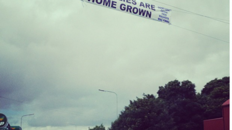 Incredible Sign In Cavan: 'Our Lilies Are Home Grown'