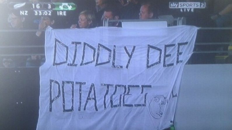 The 'Diddly Dee Potatoes' Sign At The Ireland-New Zealand Match