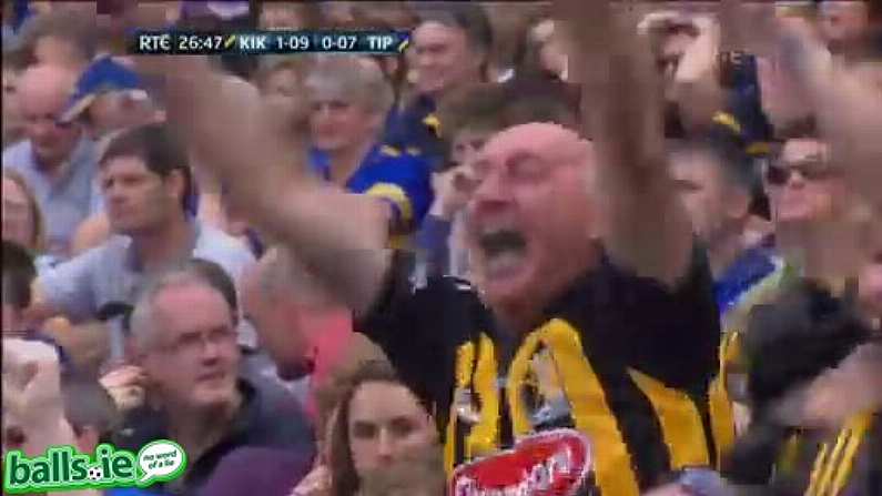 GIF: The most fanatical Killkenny supporter at Croke Park.