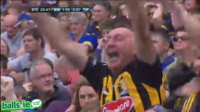 GIF: The most fanatical Killkenny supporter at Croke Park.