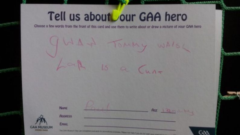Lar Corbett Vs. Tommy Walsh At The GAA Legends Wall Of Fame (Warning: Bad Language)