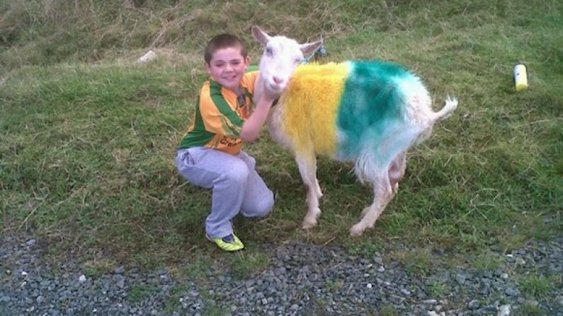 Justin Bieber, John Wayne And A Spray-Painted Sheep Show Their Donegal Love