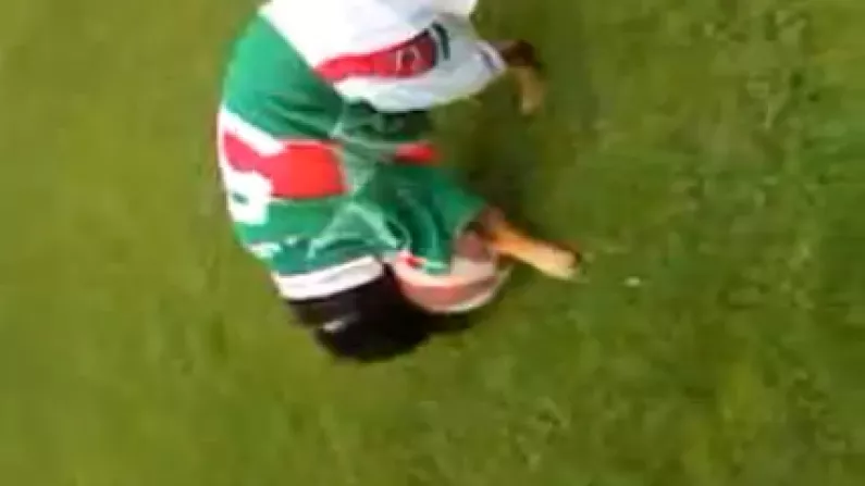 A Dog In A Mayo Kit