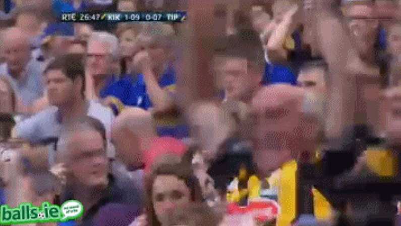 Top 10 GAA GIFs of the Summer: No.8 - The most fanatical Kilkenny man at Croke Park.