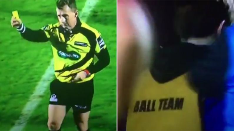 Watch: Great Scenes As Nigel Owens Yellow Cards A Ballboy At The RDS
