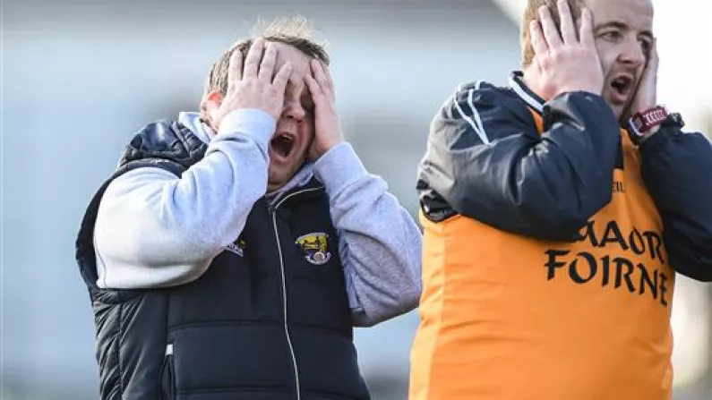11 Photos Of Davy Fitzgerald Just Loving Life In Wexford