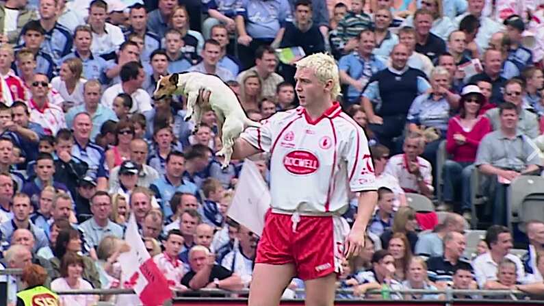 Owen Mulligan On The Time He Removed A Dog From An All-Ireland Quarter Final