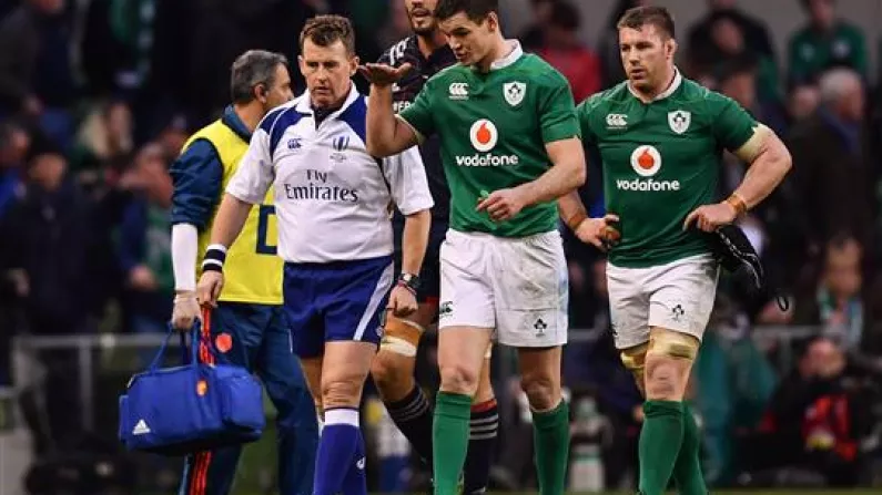 French Rugby Fans Were Not Pleased With Nigel Owens's Performance Tonight