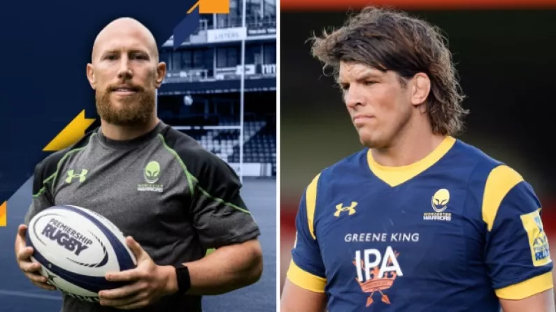 At A Combined Age Of 77, Peter Stringer And Donncha O'Callaghan Will Be Teammates