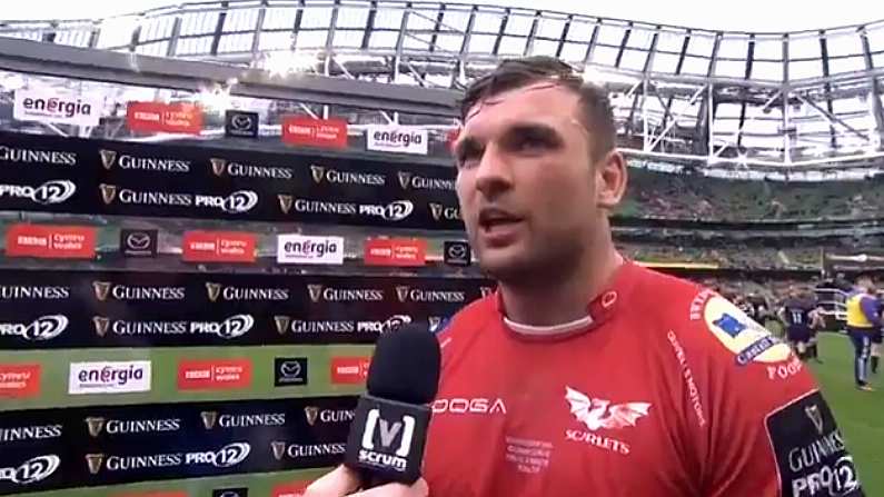 "The Irish Media Gave Us No Chance"- Tadhg Beirne Sums Up Scarlets' Superb Pro 12 Win