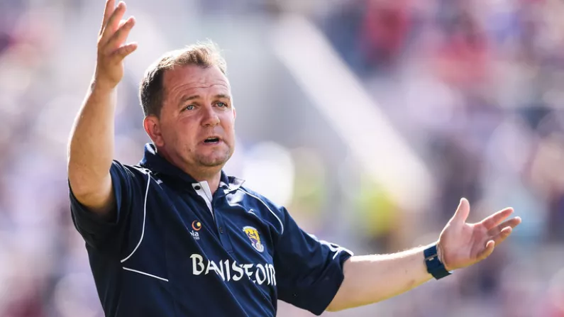 Reports: Davy Fitzgerald To Stay With Wexford For Another Year