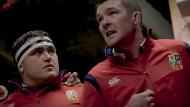 Watch: A Stirring Trailer For The New "Lions Uncovered" Film Has Been Released