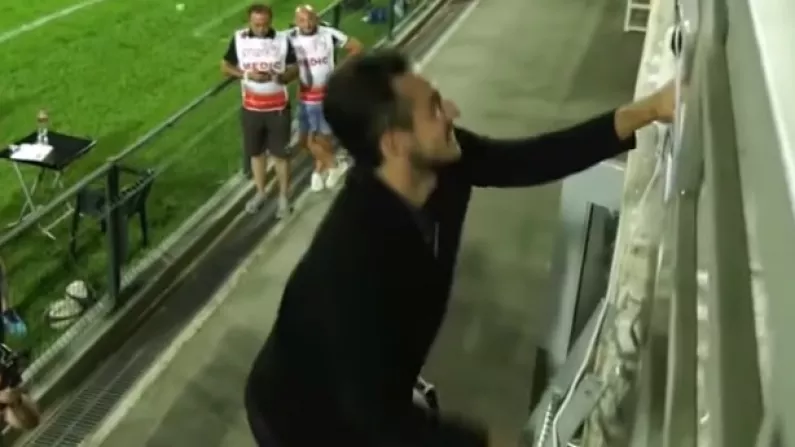 Watch: Georgian Rugby Player Climbs Into The Stand To Propose To His Girlfriend