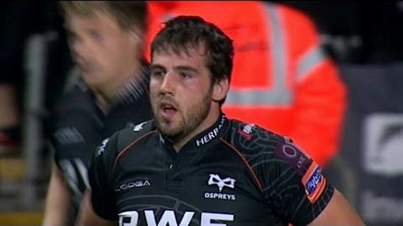 Ospreys Hooker Reveals All About Having Hand Bitten By A Lion