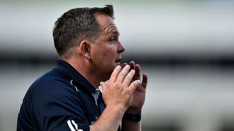 2 July 2017; Davy Fitzgerald manager of Wexford during the Leinster GAA Hurling Senior Championship Final match between Galway and Wexford at Croke Park in Dublin. Photo by David Maher/Sportsfile