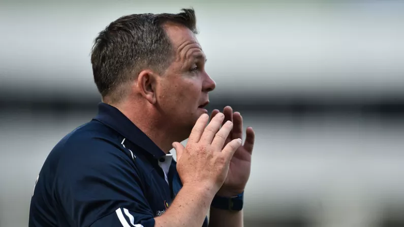"Not Possible" - Davy Fitzgerald Has Serious Concerns About New Hurling Format