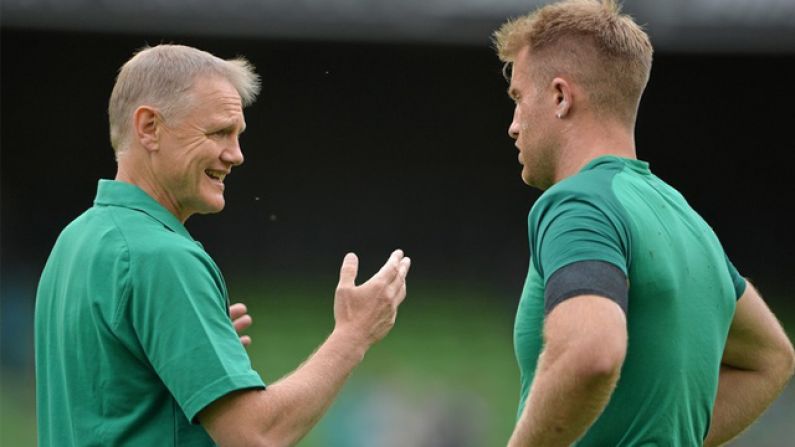 "He Just Started Abusing Me" - Luke Fitzgerald On World Cup Bollocking From Joe Schmidt