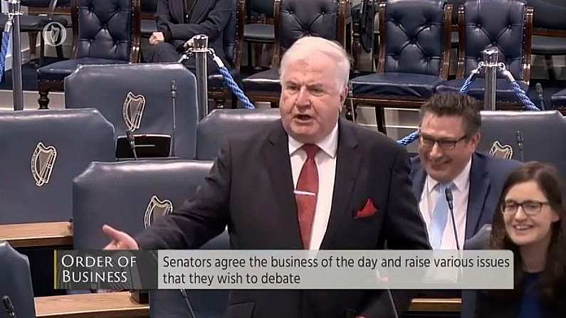 Farcical Scenes In The Seanad As Senator Castigates World Cup Bid