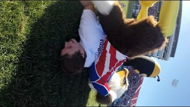 Video: US Rugby Mascot With The Tackle Of The Week