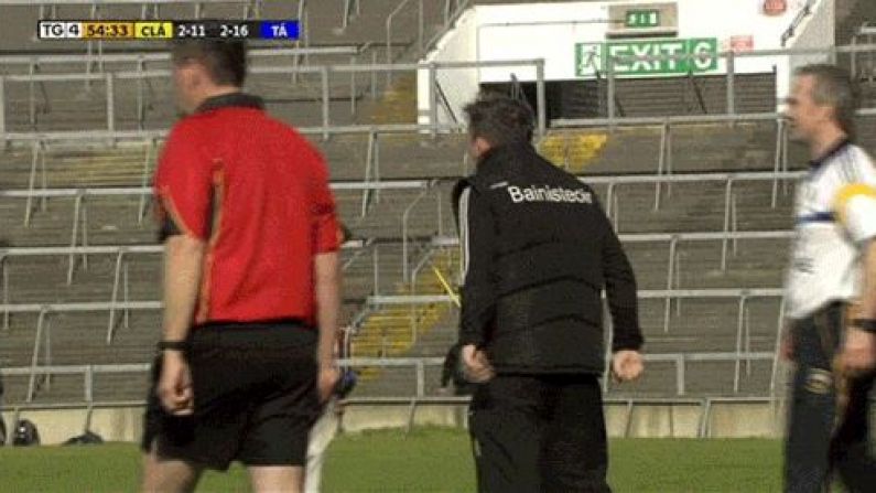 GIF: Davy Fitz Goes Feckin' Bonkers On The Clare Sideline