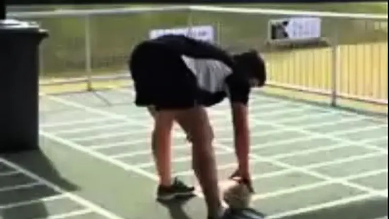 The Best Rugby Trick Shot You'll See This Lunar Calendar