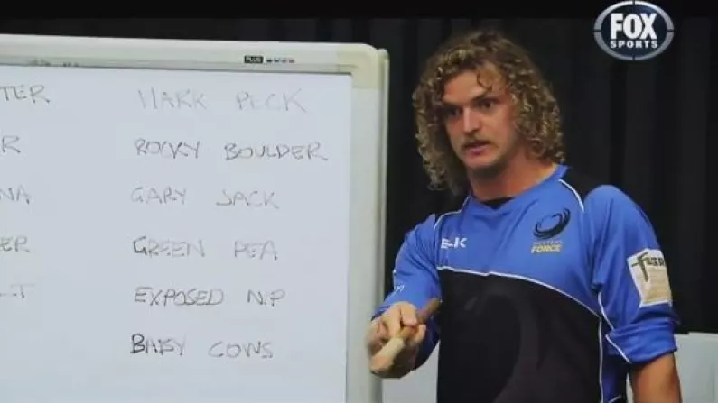 Video: The Honey Badger Gives A Lesson In Australian Lingo