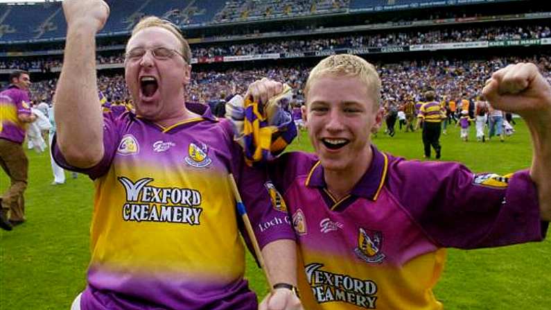 The Balls.ie Photo Tribute To Wexford GAA Fans