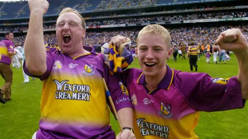 The Balls.ie Photo Tribute To Wexford GAA Fans