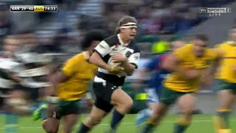 GIFs: Barbarians V Australia Is All About The Honey Badger